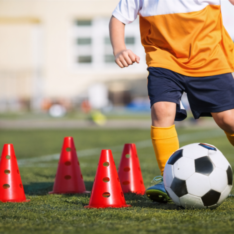 Training Equipment 